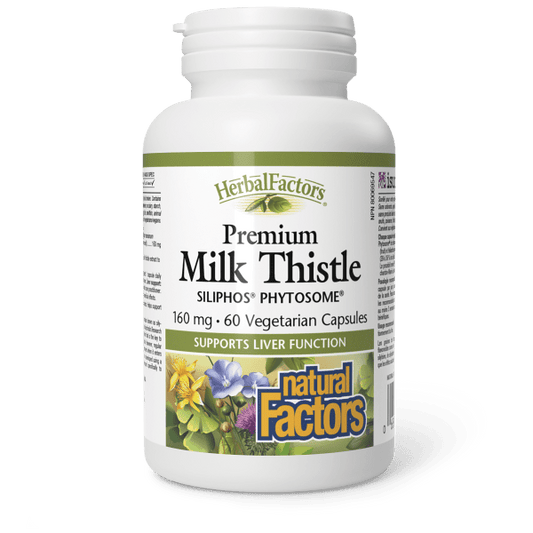Premium Milk Thistle Siliphos Phytosome 160 mg, HerbalFactors