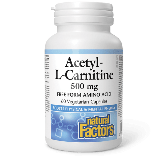 Acetyl - L - Carnitine 500 mg