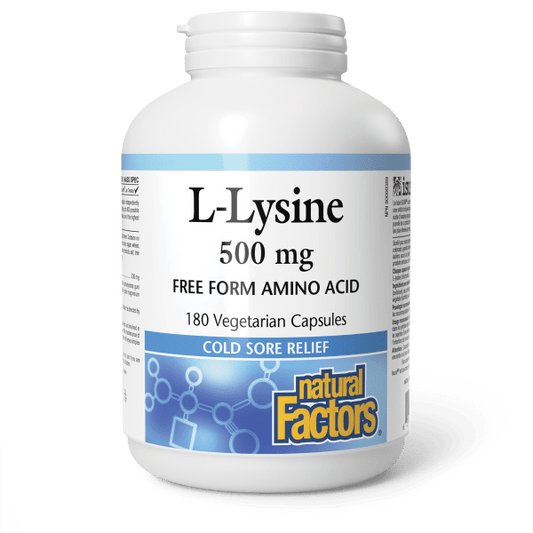 L - Lysine Amino Acid 500 mg