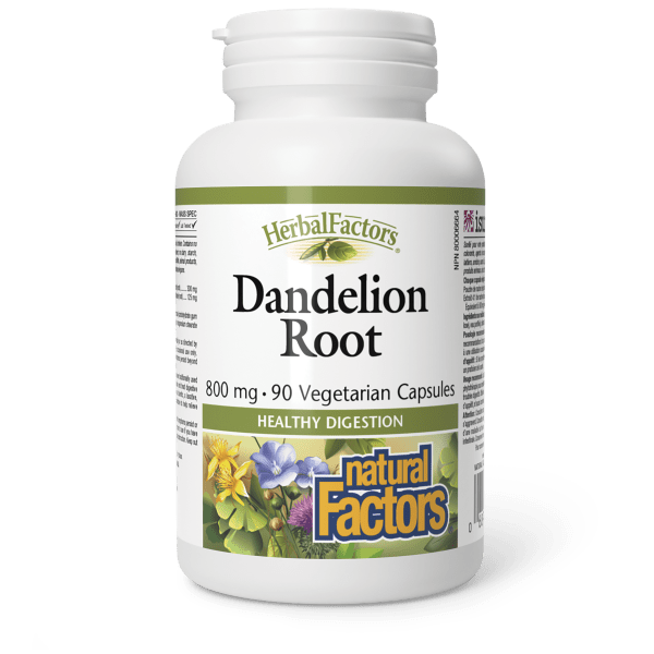 Dandelion Root 800 mg, HerbalFactors