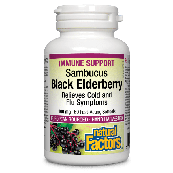 Black Elderberry Standardized Extract 100 mg