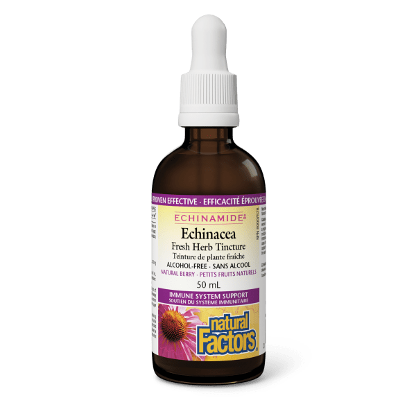 Echinacea Alcohol - Free Fresh Herb Tincture