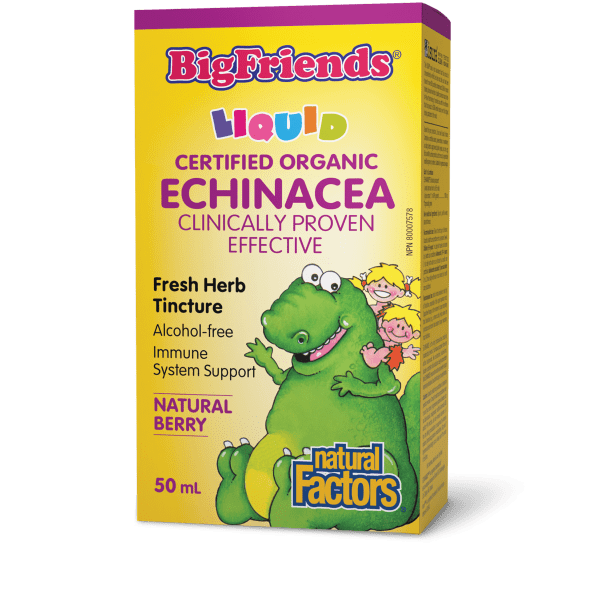 Echinacea Alcohol - Free Fresh Herb Tincture for Kids