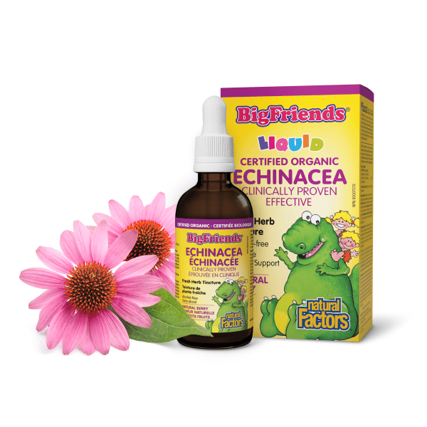 Echinacea Alcohol - Free Fresh Herb Tincture for Kids