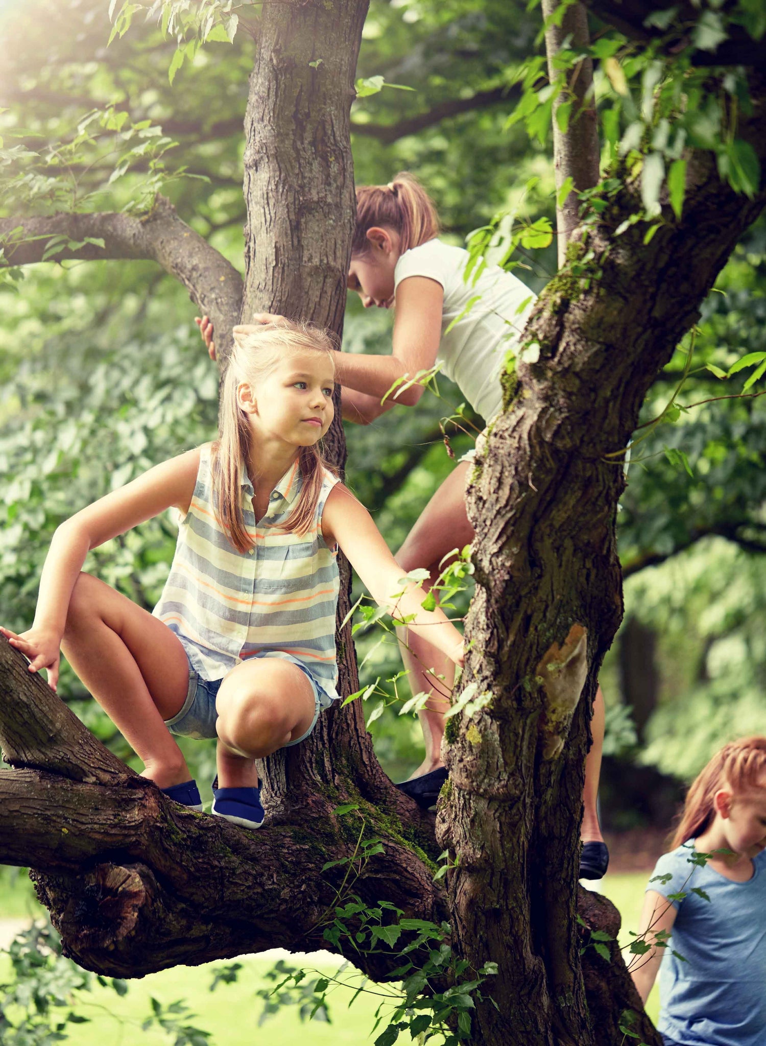 Trois petites filles grimpant et jouant dans les arbres