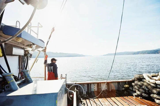 Our Commitment to Sustainable Fishing - Natural Factors Canada