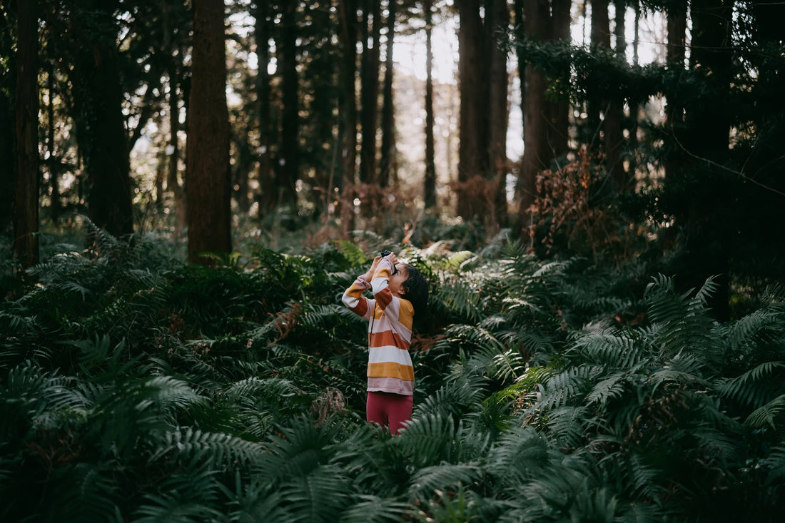 Little girl with binoculars looking up at trees bathed in sunlight in the forest