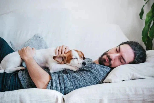 How to Naturally Combat Insomnia - Natural Factors Canada
