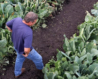 Research at Factors Farms - Natural Factors Canada