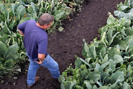 Research at Factors Farms - Natural Factors Canada