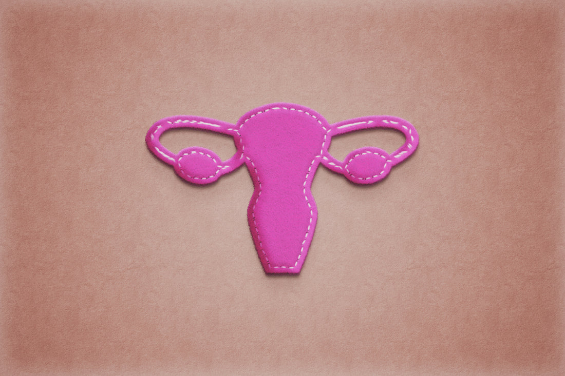 Paper diagram of a uterus