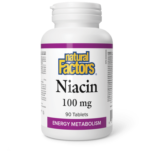 Natural Factors Niacin 100mg