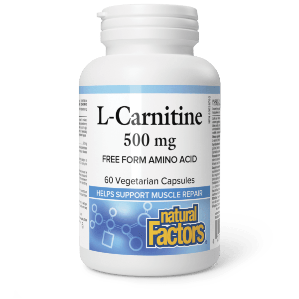 L-Carnitine 500 mg