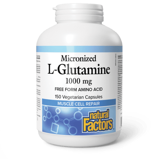 Micronized L - Glutamine Amino Acid 1000 mg