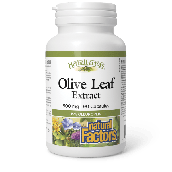 Olive Leaf 500 mg, HerbalFactors