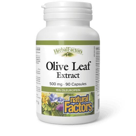 Olive Leaf 500 mg, HerbalFactors
