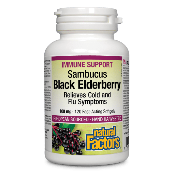 Black Elderberry Standardized Extract 100 mg