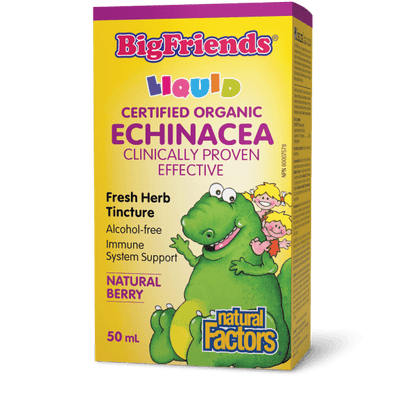Echinacea Alcohol - Free Fresh Herb Tincture for Kids