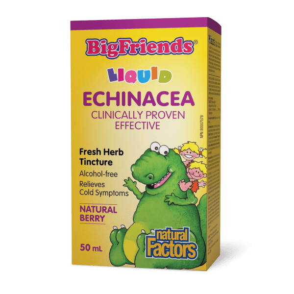 Echinacea Alcohol-Free Fresh Herb Tincture for Kids