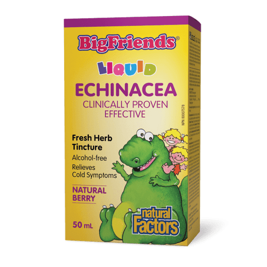Echinacea Alcohol-Free Fresh Herb Tincture for Kids