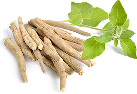 Ashwagandha