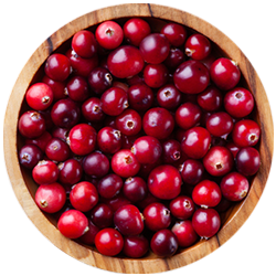 Juicy ripe red cranberries in a wooden bowl on a white background