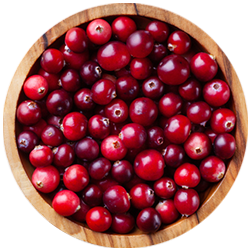 Juicy ripe red cranberries in a wooden bowl on a white background 