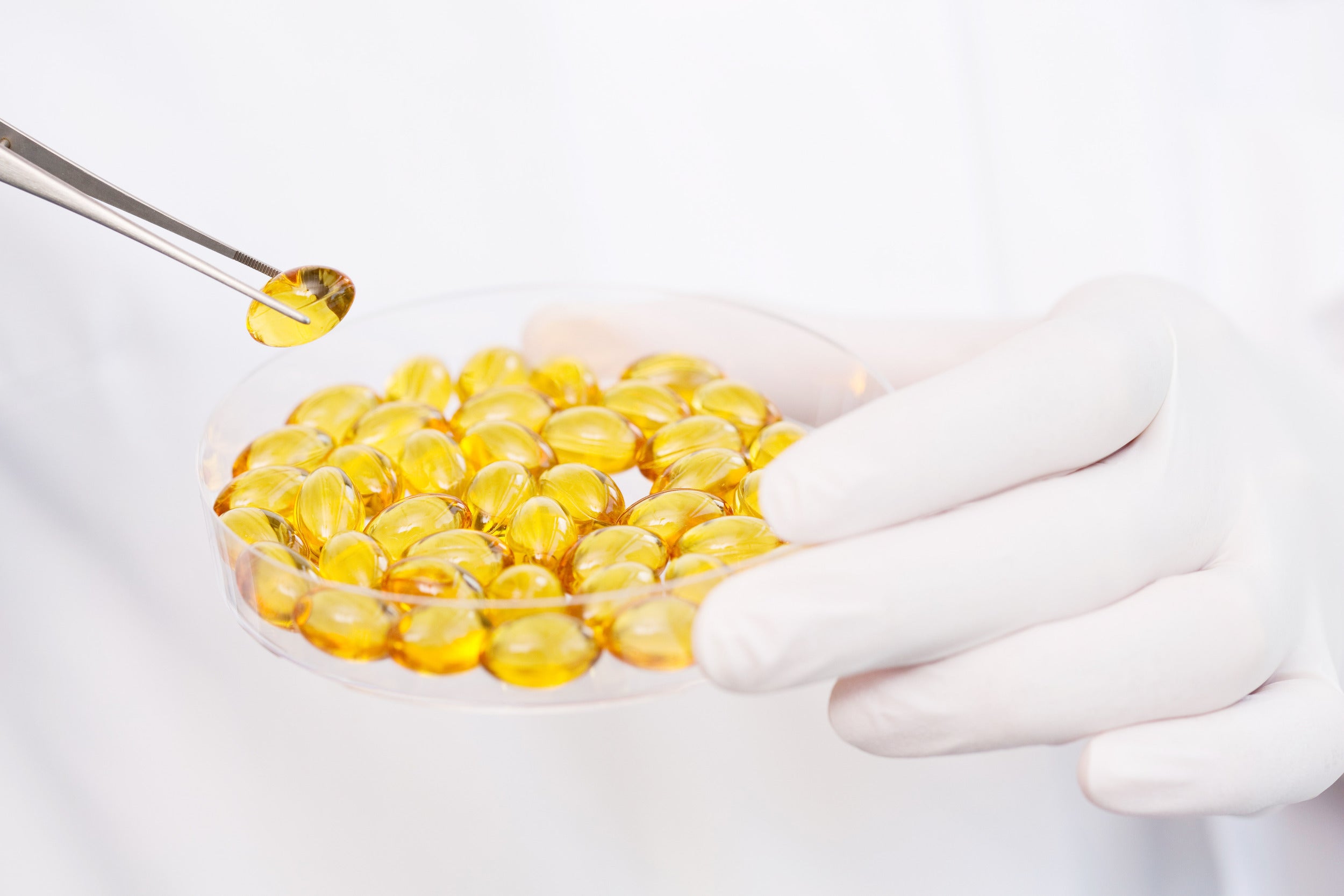 petri dish with yellow coloured capsules