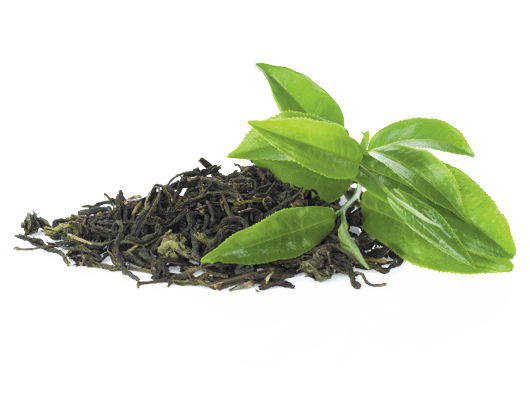 Close-up of vibrant green tea leaves with droplets of water, showcasing freshness and lushness.