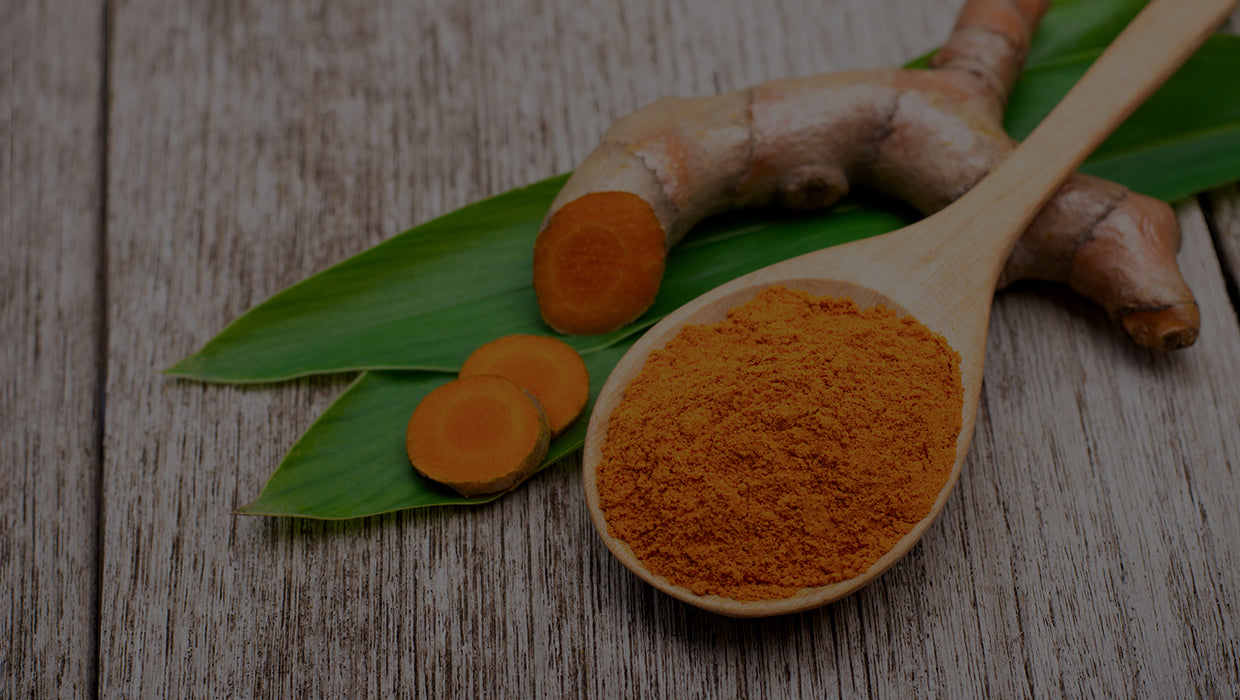 Vibrant orange dried turmeric sits on a wooden spoon alongside fresh turmeric root in its natural form