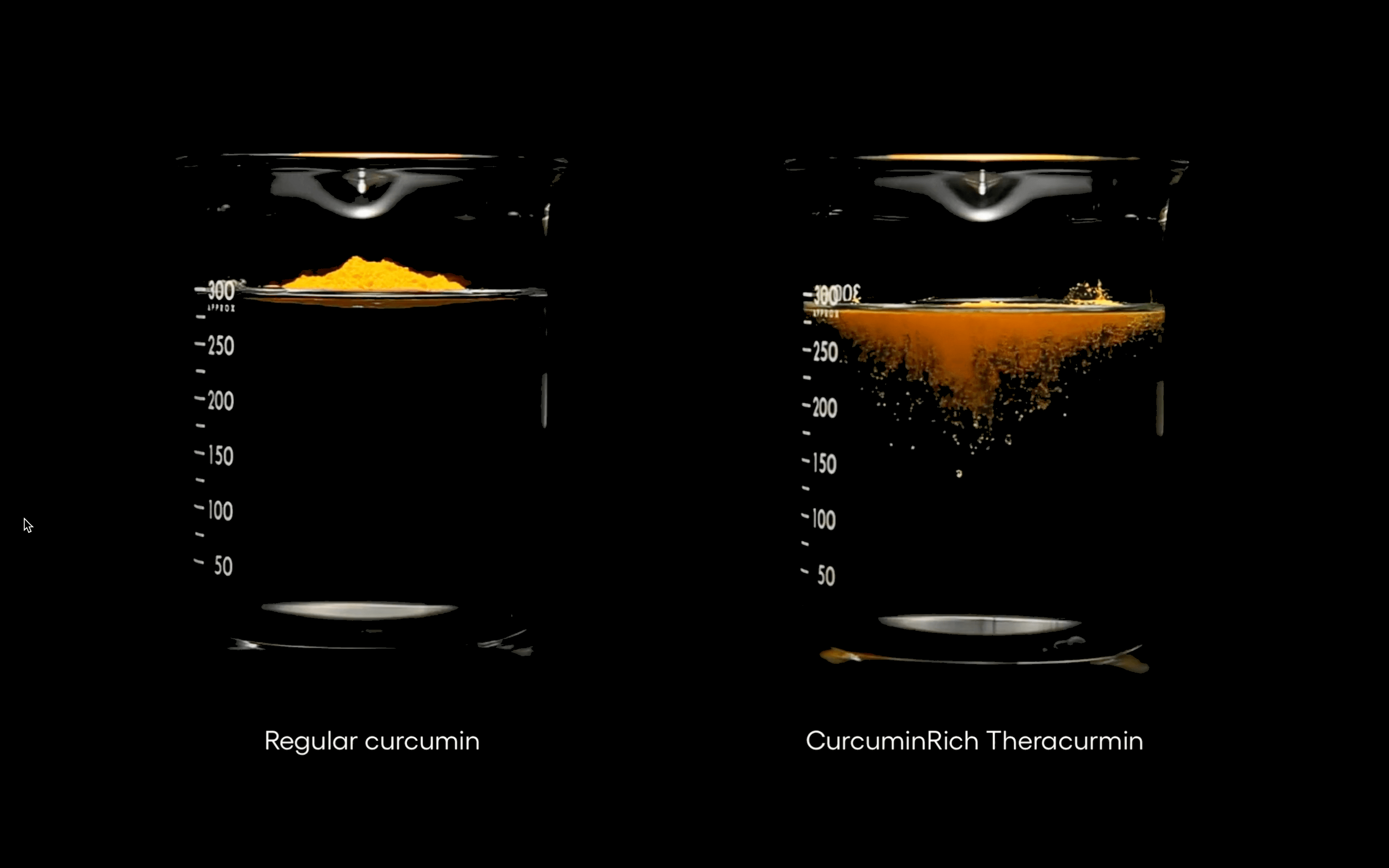 Charger la vidéo : Unlike regular curcumin, the advanced absorption technology of CurcuminRich Theracurmin by Natural Factors enables rapid distribution of curcumin particles in the body. This results in improved absorption and significantly higher bioavailability.