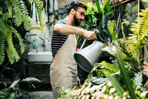 Man watering plants