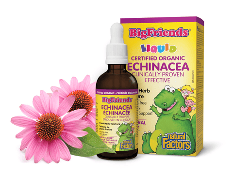 Echinacea Fresh Herb Tincture, Alcohol-free, Big Friends, Natural Factors|v|image|4729