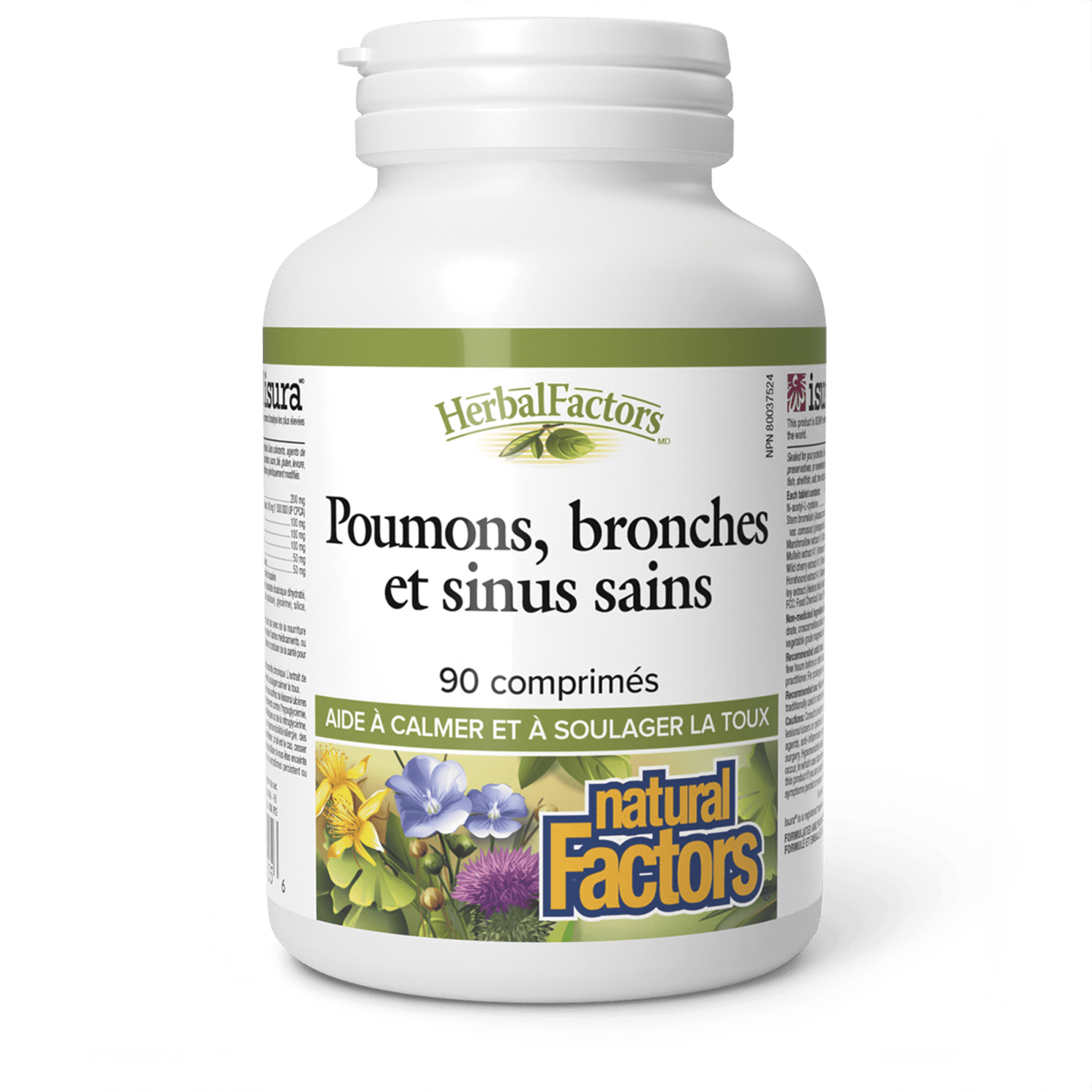Poumons, bronches et sinus sains, HerbalFactors, Natural Factors|v|image|3505