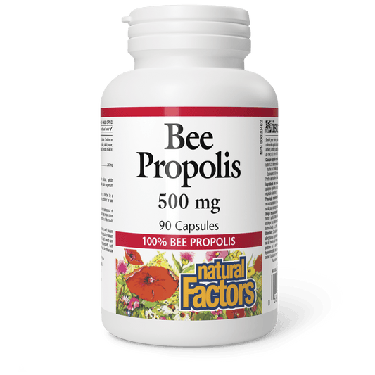 Bee Propolis 500 mg, Natural Factors|v|image|3161