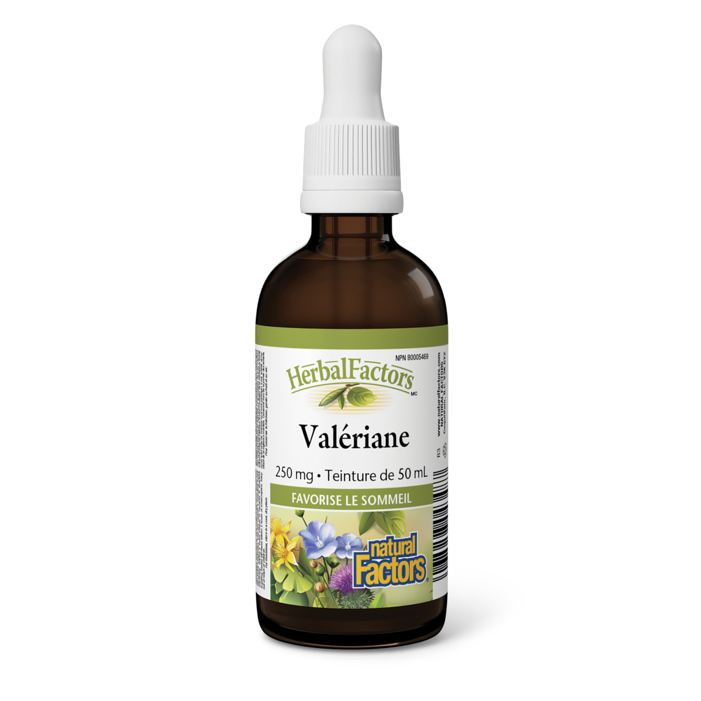 Valériane 250 mg, HerbalFactors, Natural Factors|v|image|4348