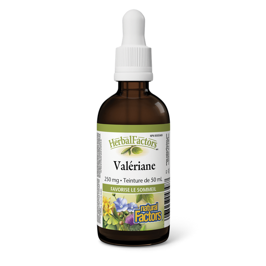 Valériane 250 mg, HerbalFactors, Natural Factors|v|image|4348