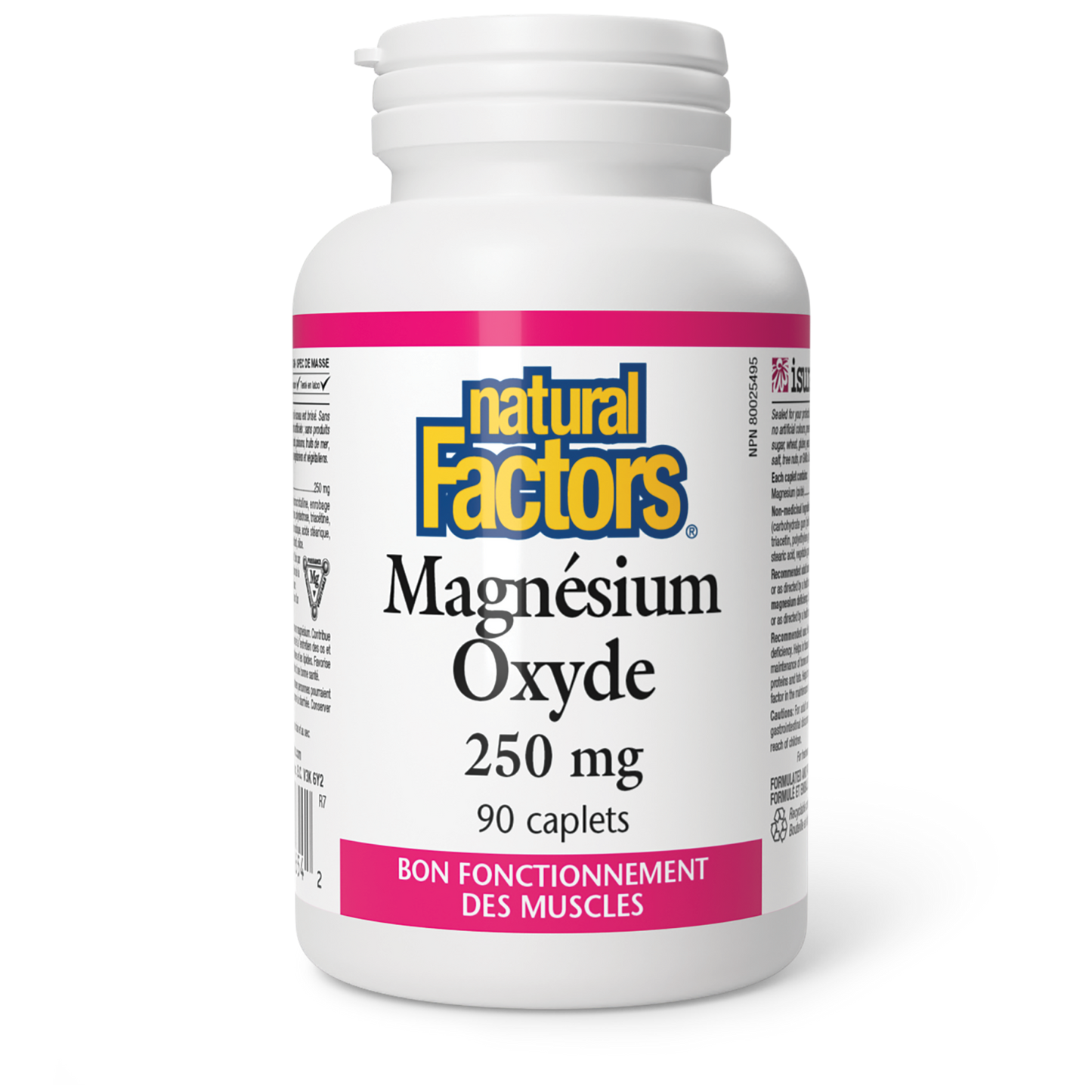 Magnésium Oxyde 250 mg, Natural Factors|v|image|1654