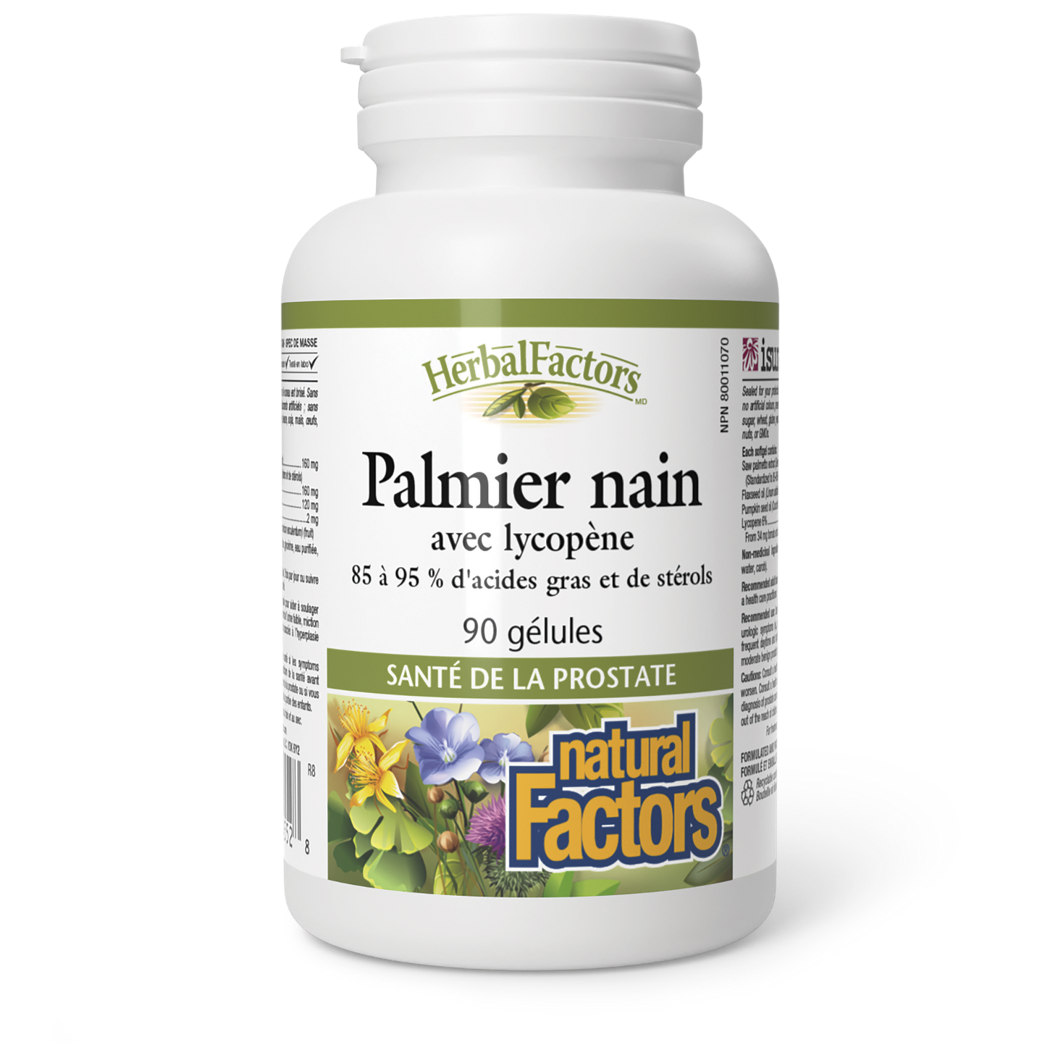 Palmier nain avec lycopène, HerbalFactors, Natural Factors|v|image|4552