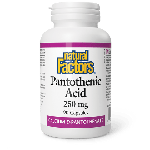 Pantothenic Acid 250 mg, Natural Factors|v|image|1251