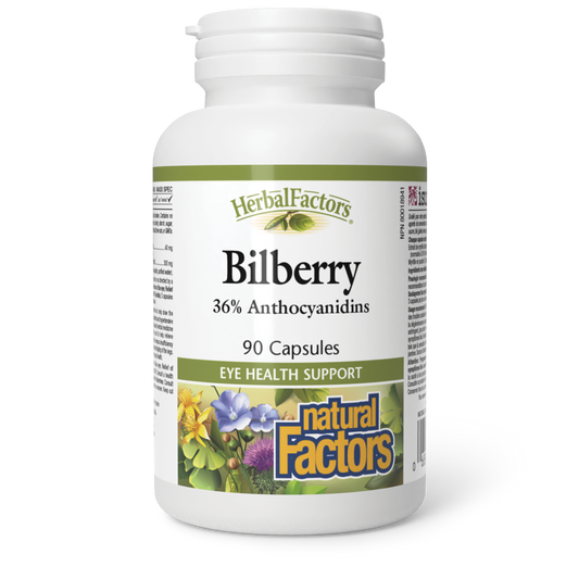 Bilberry, HerbalFactors, Natural Factors|v|image|4161