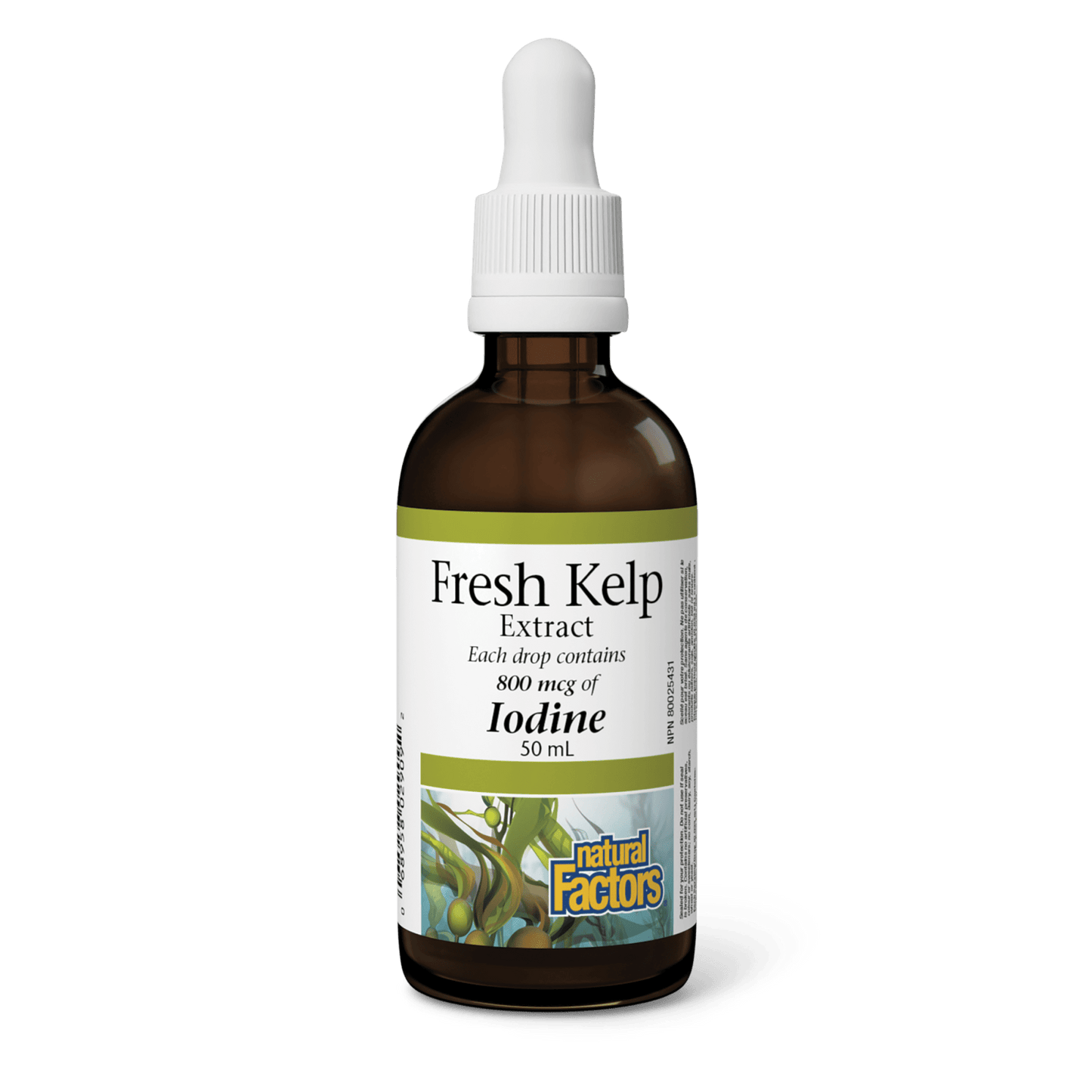 Fresh Kelp Extract 800 mcg, Natural Factors|v|image|2909