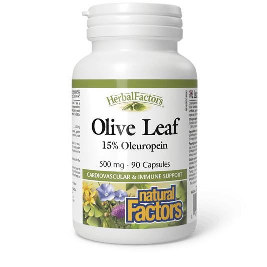 Olive Leaf 500 mg, HerbalFactors, Natural Factors|v|image|4570