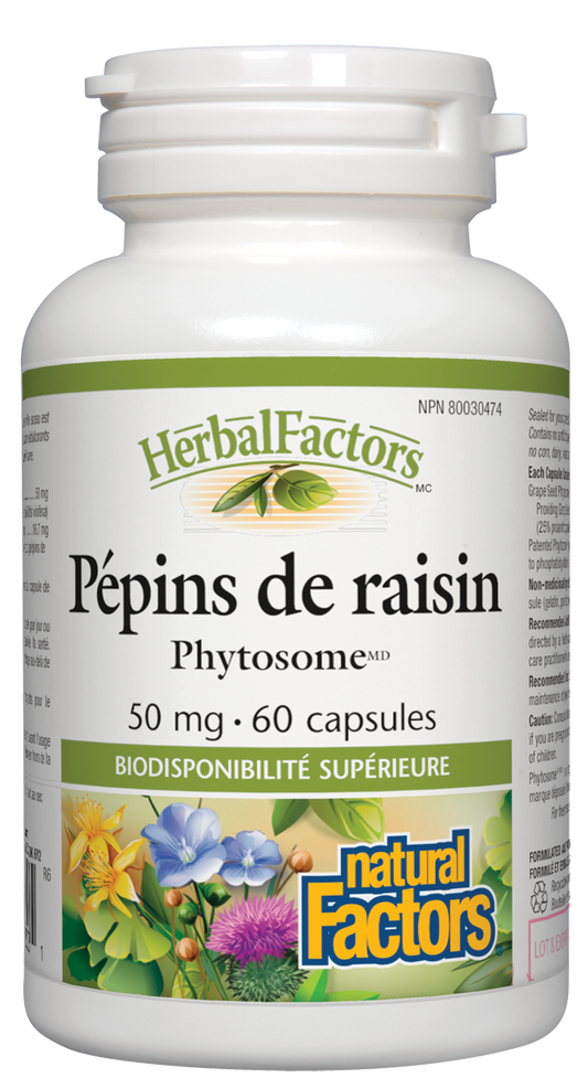 Pépins de raisin Phytosome 50 mg, HerbalFactors|variant|hi-res|4803