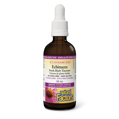 Echinacea Alcohol-Free Fresh Herb Tincture