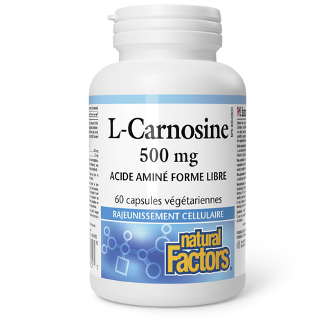 L-Carnosine 500 mg, Natural Factors|v|image|2805
